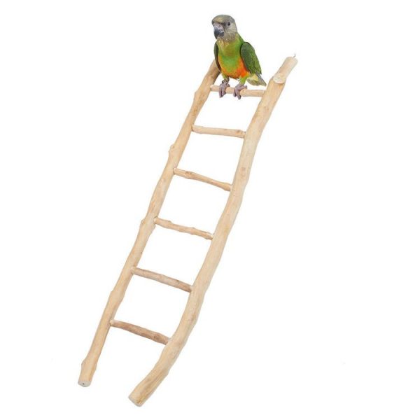 Java Ladder