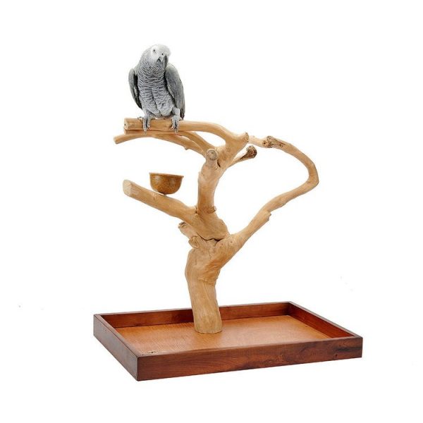 Jave Mini Tree - Image 2