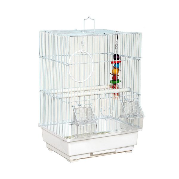 Santa Cruz Cage