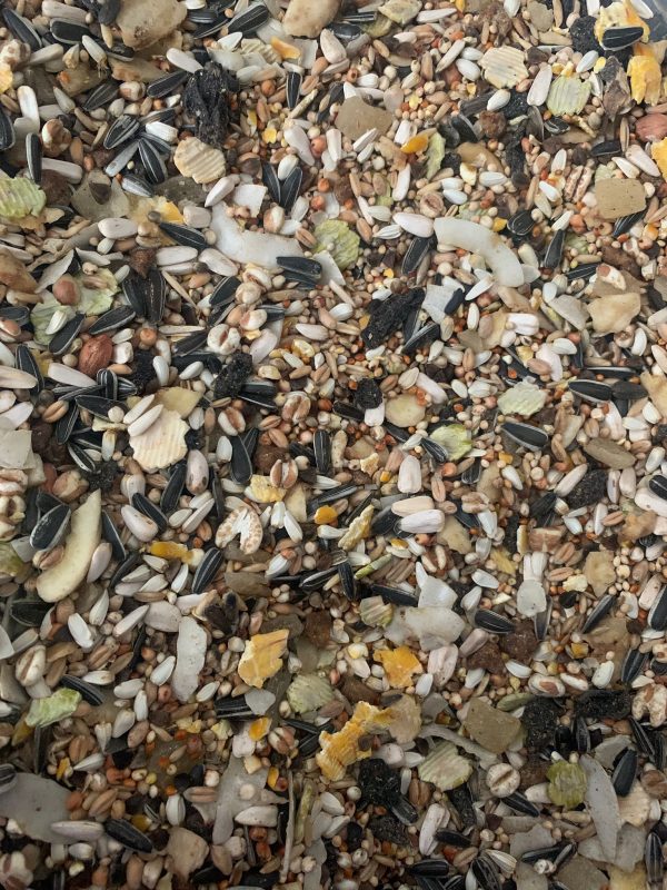 Conure & parrot seed 2kg