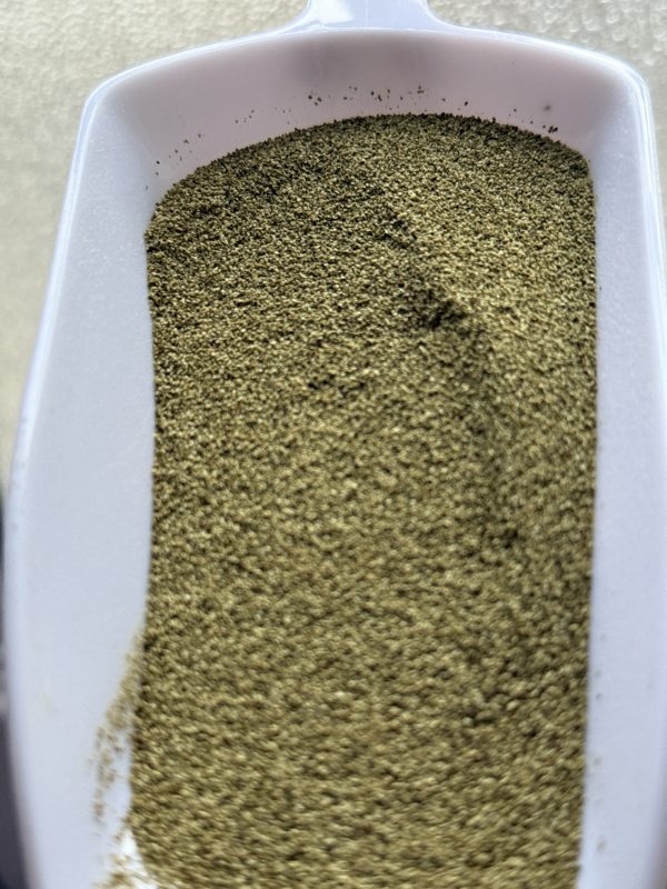 Kelp powder 50g - Image 3