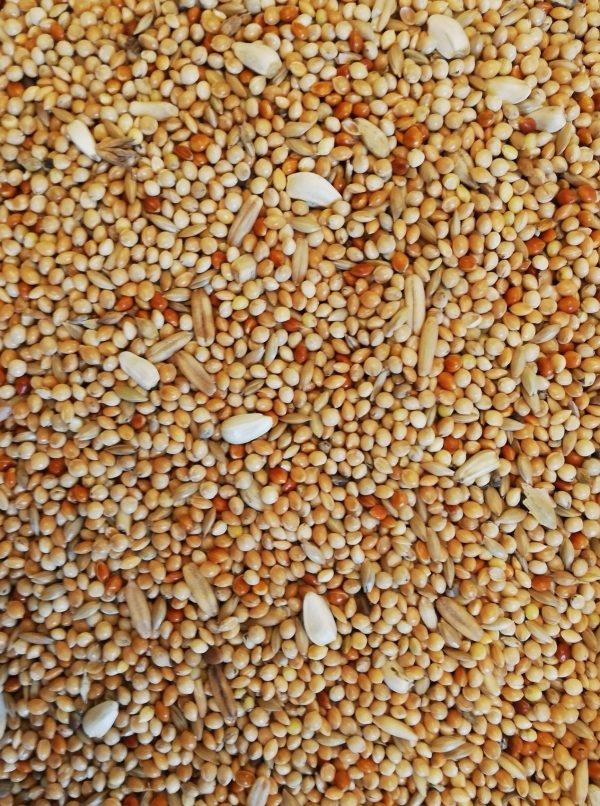 Budgie seed 1KG