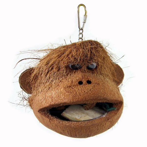 Java coco monkey