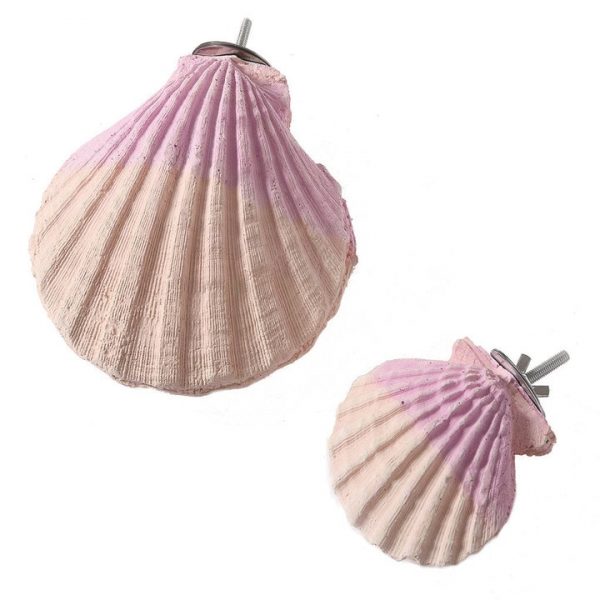 Edible calcium clam x1
