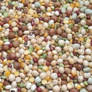 Pulse And Brown Rice Soaking Mix 250g