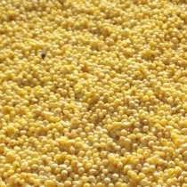 Hulled millet 250gram